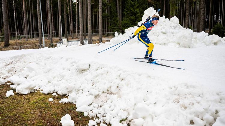 Biathlon-WM