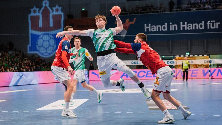 Handball-Bundesliga