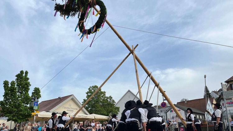 Maibaum