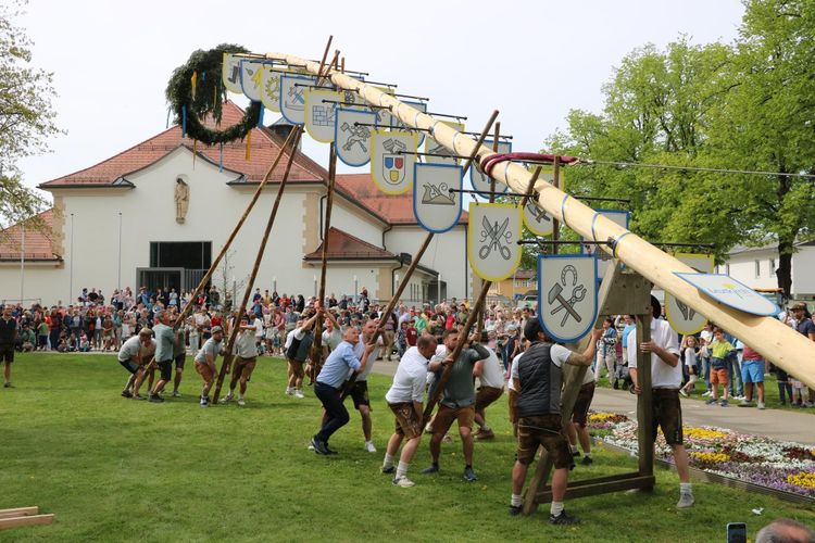 Maibaum