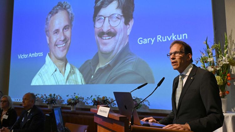 Gary Ruvkun