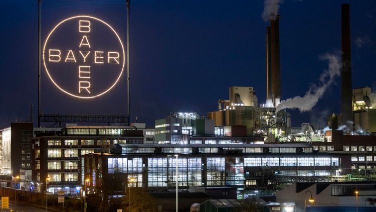 Bayer