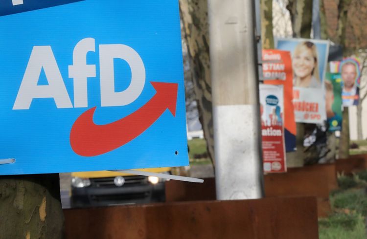 AfD